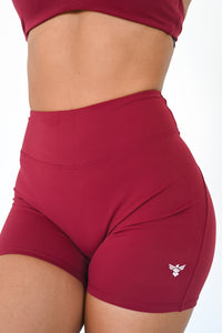 Ascend Shorts | Garnet