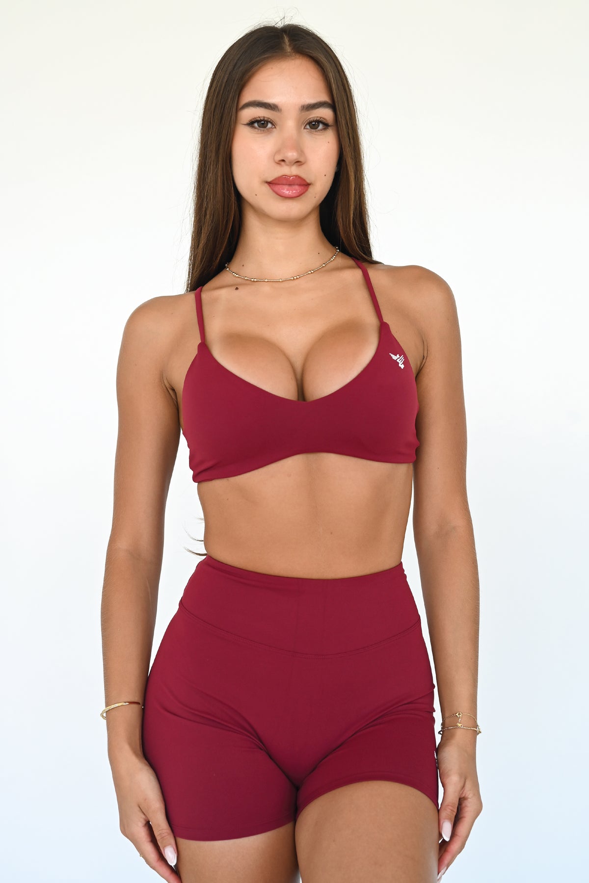 Ascend Sports Bra | Garnet
